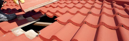compare Saddle Street roof repair quotes